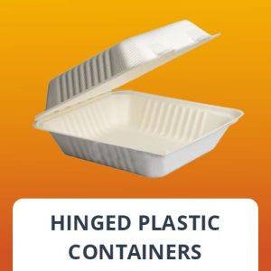 Hinged Plastic Containers